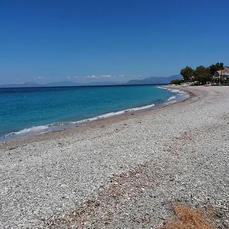 Tatil Evi Emily's *